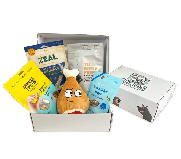 Build-a-Box Treat Boxes