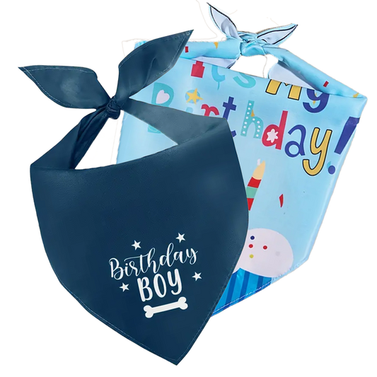 Random Birthday Bandana Boy - Adjustable Polyester Scarf